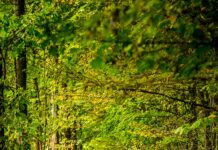 원주시청소년상담복지센터, 가족치유캠프 운영기관 선정