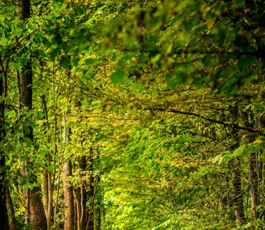 원주시청소년상담복지센터, 가족치유캠프 운영기관 선정