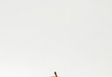 정부, ‘사과 안심 프로젝트’ 추진…계약재배물량 6만톤으로 확대