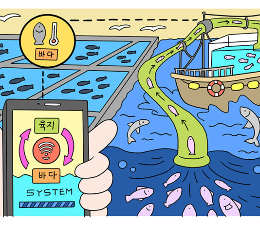 어촌·연안 연결 ‘바다생활권’ 만든다…2027년까지 매출 50조 목표