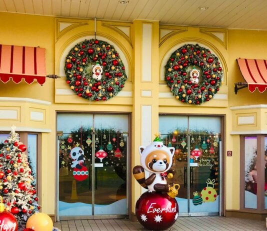 ‘호국보훈의 달’ 보훈대상자+1인 항공료 최대 50% 할인 raccoon statue outside building with christmas decors