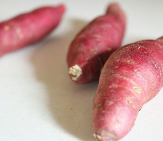 가을철 체중 감량, 운동과 식단 조절로 건강하게 a group of sausages