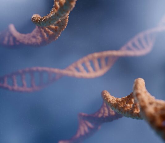 암과 유전자: 발병 위험을 낮추는 유전자와의 관계 a close up of a cell phone with a picture of a cell phone