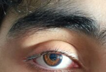 “눈 밑이 파래졌어요”…초여름 ‘수면 부족’이 부른 신호 Close-up photo of a brown human eye.