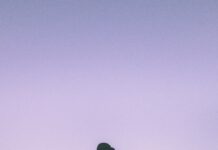 몸과 마음을 건강하게 유지하는 요가 silhouette of woman doing yoga