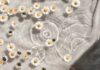 일상에서 실천하는 현대 웰니스, 건강한 삶을 위한 새로운 출발점 white and blue floral textile